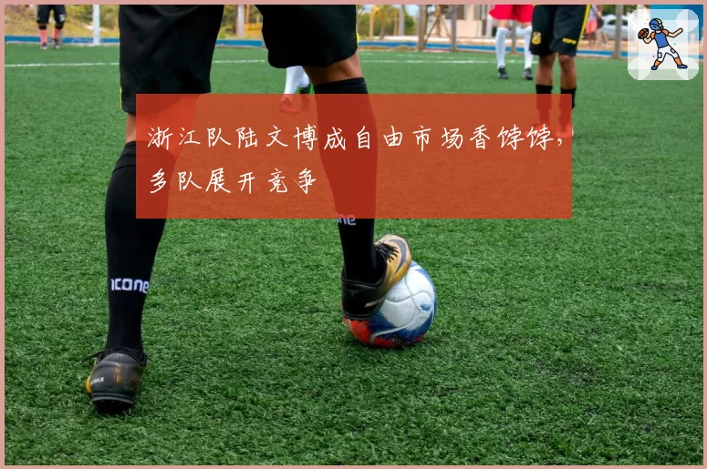浙江队陆文博成自由市场香饽饽，多队展开竞争