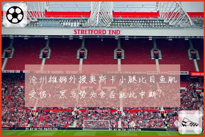 沧州雄狮外援奥斯卡小腿比目鱼肌受伤,黑马势头会否就此中断?