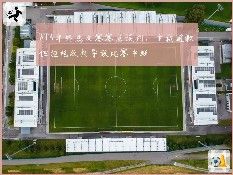 WTA年终总决赛赛点误判，主裁道歉但拒绝改判导致比赛中断