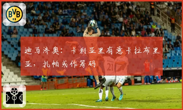 迪马济奥：卡利亚里有意卡拉布里亚，扎帕或作筹码